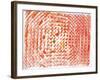 Rotation-Pru-Framed Giclee Print