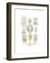 Rotatoria, 1899-1904-null-Framed Giclee Print