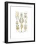 Rotatoria, 1899-1904-null-Framed Giclee Print