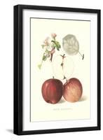 Roter Eiserapfel Apples-null-Framed Art Print