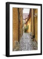 Rothenburg I-George Johnson-Framed Art Print