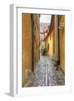 Rothenburg I-George Johnson-Framed Art Print