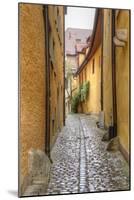 Rothenburg I-George Johnson-Mounted Art Print