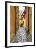 Rothenburg I-George Johnson-Framed Art Print