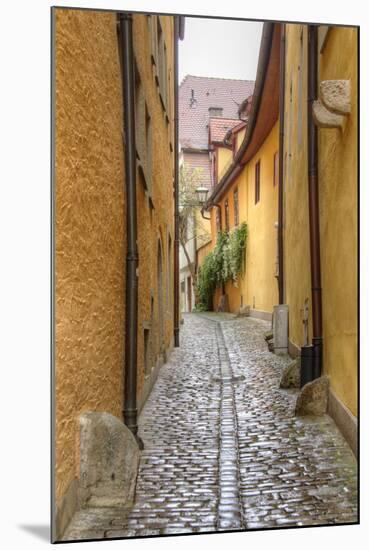 Rothenburg I-George Johnson-Mounted Art Print