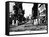 Rothschild Boulevard, Tel Aviv, Israel, 1926-null-Framed Stretched Canvas