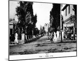 Rothschild Boulevard, Tel Aviv, Israel, 1926-null-Mounted Giclee Print