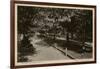 Rothschild Boulevard, Tel Aviv, Israel-null-Framed Photographic Print