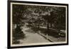 Rothschild Boulevard, Tel Aviv, Israel-null-Framed Photographic Print