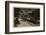 Rothschild Boulevard, Tel Aviv, Israel-null-Framed Photographic Print