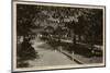 Rothschild Boulevard, Tel Aviv, Israel-null-Mounted Photographic Print