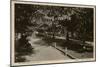 Rothschild Boulevard, Tel Aviv, Israel-null-Mounted Photographic Print