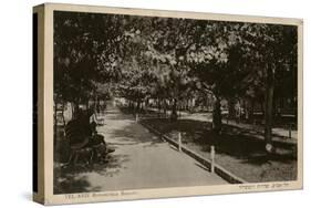 Rothschild Boulevard, Tel Aviv, Israel-null-Stretched Canvas