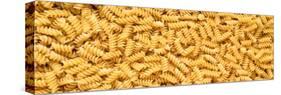 Rotini Pasta-Steve Gadomski-Stretched Canvas