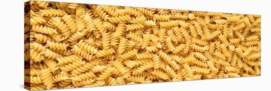 Rotini Pasta-Steve Gadomski-Stretched Canvas