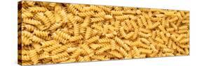 Rotini Pasta-Steve Gadomski-Stretched Canvas