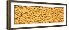 Rotini Pasta-Steve Gadomski-Framed Photographic Print