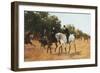 Rotten Row, Hyde Park-Thomas Blinks-Framed Giclee Print