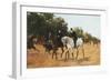 Rotten Row, Hyde Park-Thomas Blinks-Framed Giclee Print