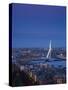 Rotterdam and Erasmus Bridge from Euromast Tower, Rotterdam, Holland-Michele Falzone-Stretched Canvas