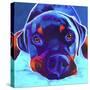 Rottie - Dexter 2-Dawgart-Stretched Canvas