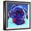 Rottie - Dexter 2-Dawgart-Framed Giclee Print