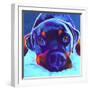 Rottie - Dexter 2-Dawgart-Framed Giclee Print