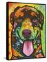 Rottie Pup-Dean Russo-Framed Stretched Canvas