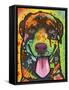 Rottie Pup-Dean Russo-Framed Stretched Canvas