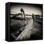 Rotting Boats on Mud Flats-Craig Roberts-Framed Stretched Canvas