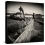 Rotting Boats on Mud Flats-Craig Roberts-Stretched Canvas