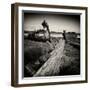 Rotting Boats on Mud Flats-Craig Roberts-Framed Photographic Print