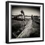 Rotting Boats on Mud Flats-Craig Roberts-Framed Photographic Print