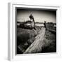 Rotting Boats on Mud Flats-Craig Roberts-Framed Photographic Print