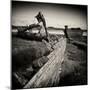 Rotting Boats on Mud Flats-Craig Roberts-Mounted Photographic Print