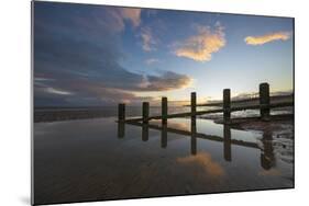 Rotting upright wooden posts of old sea defences on Winchelsea beach, Winchelsea, East Sussex-Stuart Black-Mounted Photographic Print