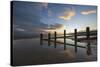 Rotting upright wooden posts of old sea defences on Winchelsea beach, Winchelsea, East Sussex-Stuart Black-Stretched Canvas