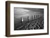 Rotting wooden posts of old sea defences on Winchelsea beach at low tide, Winchelsea, East Sussex-Stuart Black-Framed Photographic Print