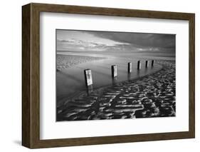 Rotting wooden posts of old sea defences on Winchelsea beach at low tide, Winchelsea, East Sussex-Stuart Black-Framed Photographic Print