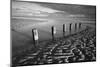 Rotting wooden posts of old sea defences on Winchelsea beach at low tide, Winchelsea, East Sussex-Stuart Black-Mounted Photographic Print