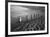 Rotting wooden posts of old sea defences on Winchelsea beach at low tide, Winchelsea, East Sussex-Stuart Black-Framed Photographic Print