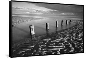 Rotting wooden posts of old sea defences on Winchelsea beach at low tide, Winchelsea, East Sussex-Stuart Black-Framed Stretched Canvas