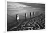 Rotting wooden posts of old sea defences on Winchelsea beach at low tide, Winchelsea, East Sussex-Stuart Black-Framed Photographic Print