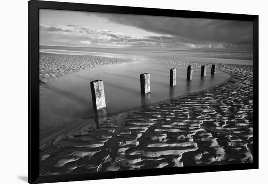 Rotting wooden posts of old sea defences on Winchelsea beach at low tide, Winchelsea, East Sussex-Stuart Black-Framed Photographic Print