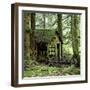 Rotting Wooden Shed Covered in Moss, Washington State, Usa-Mark Taylor-Framed Photographic Print