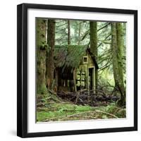 Rotting Wooden Shed Covered in Moss, Washington State, Usa-Mark Taylor-Framed Photographic Print