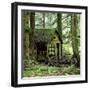 Rotting Wooden Shed Covered in Moss, Washington State, Usa-Mark Taylor-Framed Photographic Print