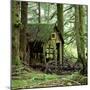 Rotting Wooden Shed Covered in Moss, Washington State, Usa-Mark Taylor-Mounted Photographic Print