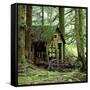 Rotting Wooden Shed Covered in Moss, Washington State, Usa-Mark Taylor-Framed Stretched Canvas