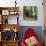 Rotting Wooden Shed Covered in Moss, Washington State, Usa-Mark Taylor-Photographic Print displayed on a wall